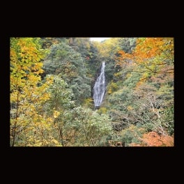 名刺_大山隠岐国立公園・船上山　鱒返しの滝
